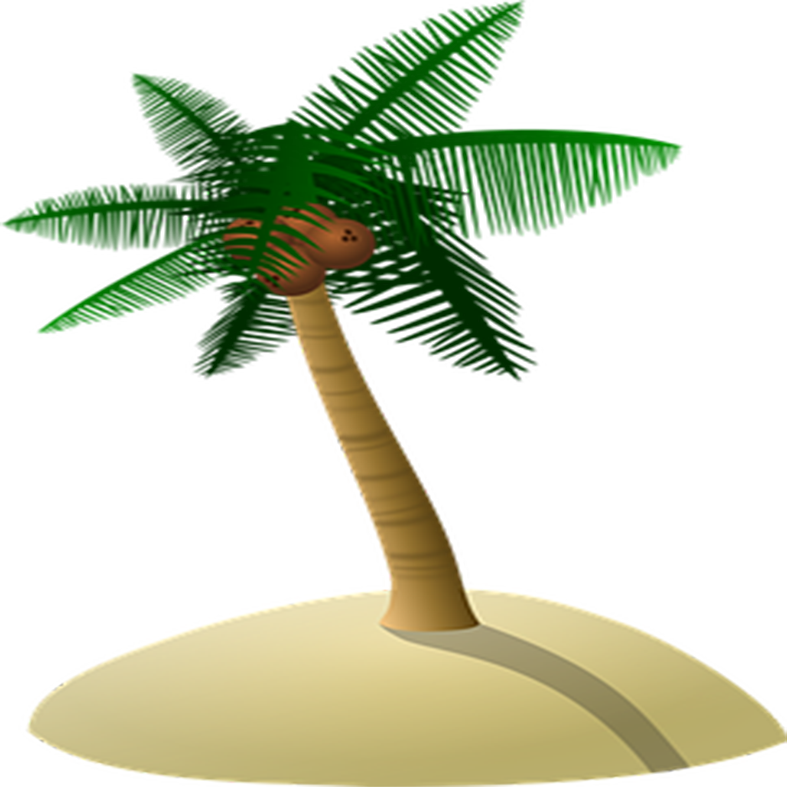 Download Arecaceae Coconut Tree Island Free Download PNG HQ Clipart PNG ...