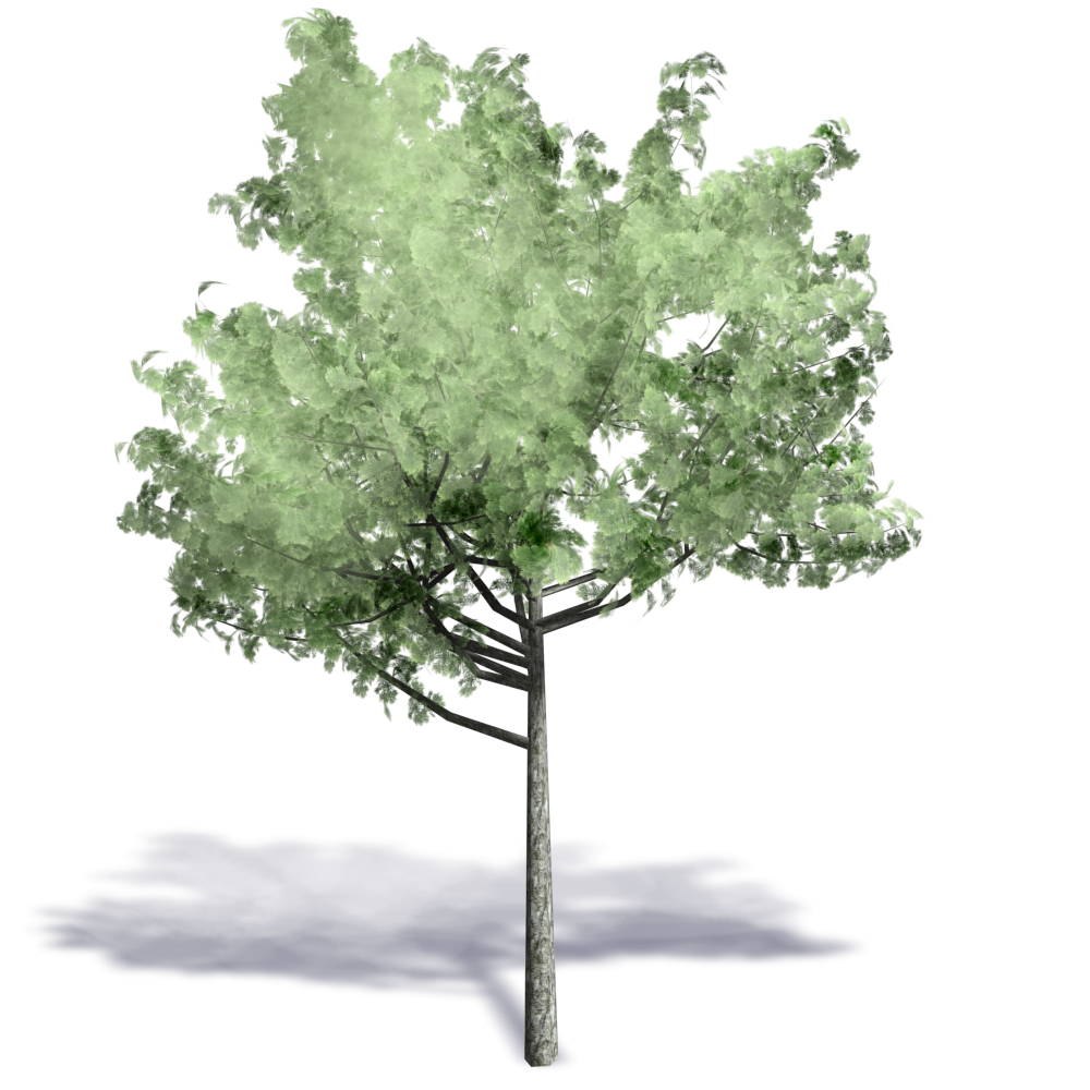 archicad trees download