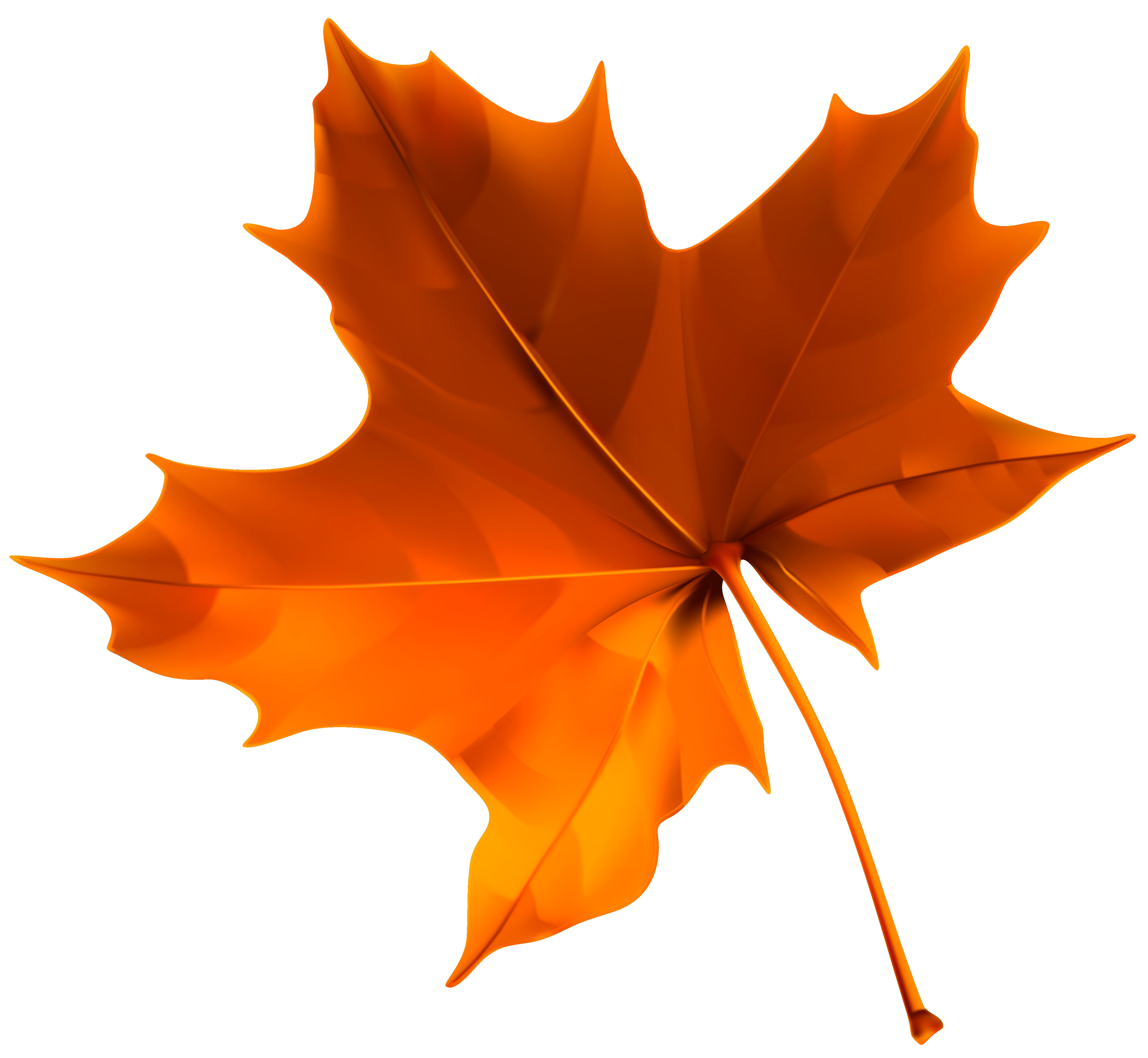 Autumn Color Leaf Red Free Clipart HD Clipart