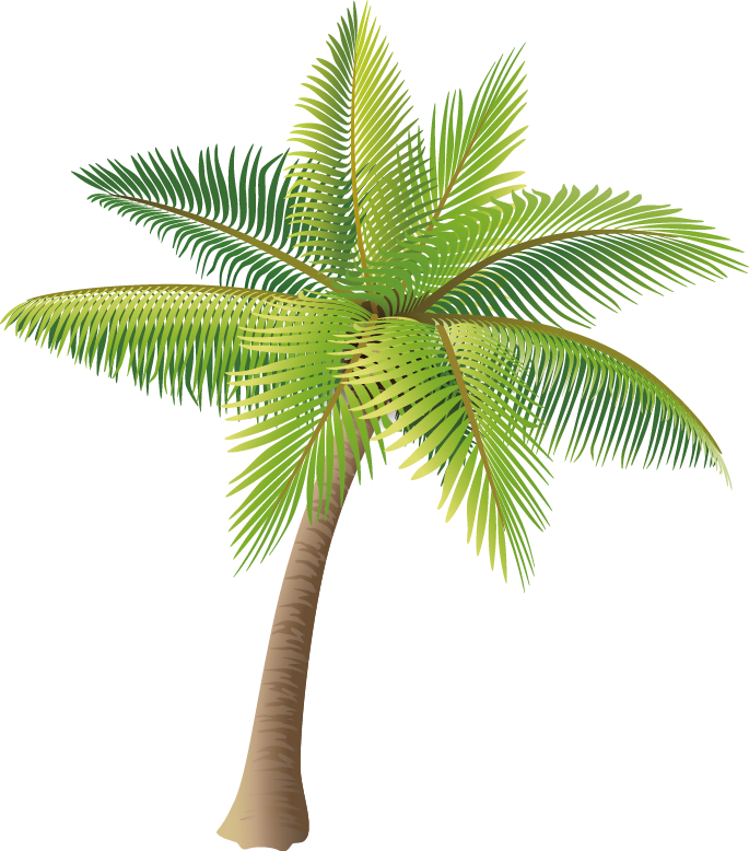 Material Coconut Vector Tree Icon HD Image Free PNG Clipart