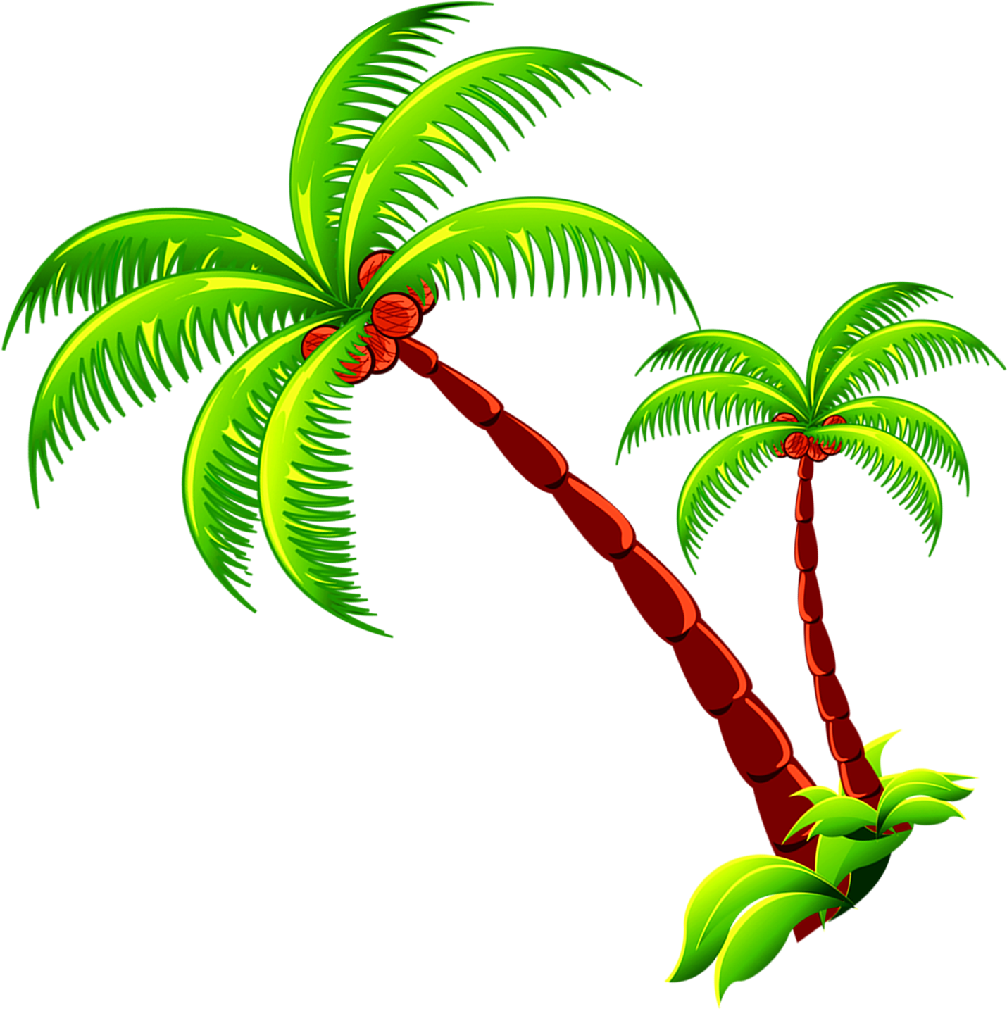 Coconut Tree Branch Free Photo PNG Clipart