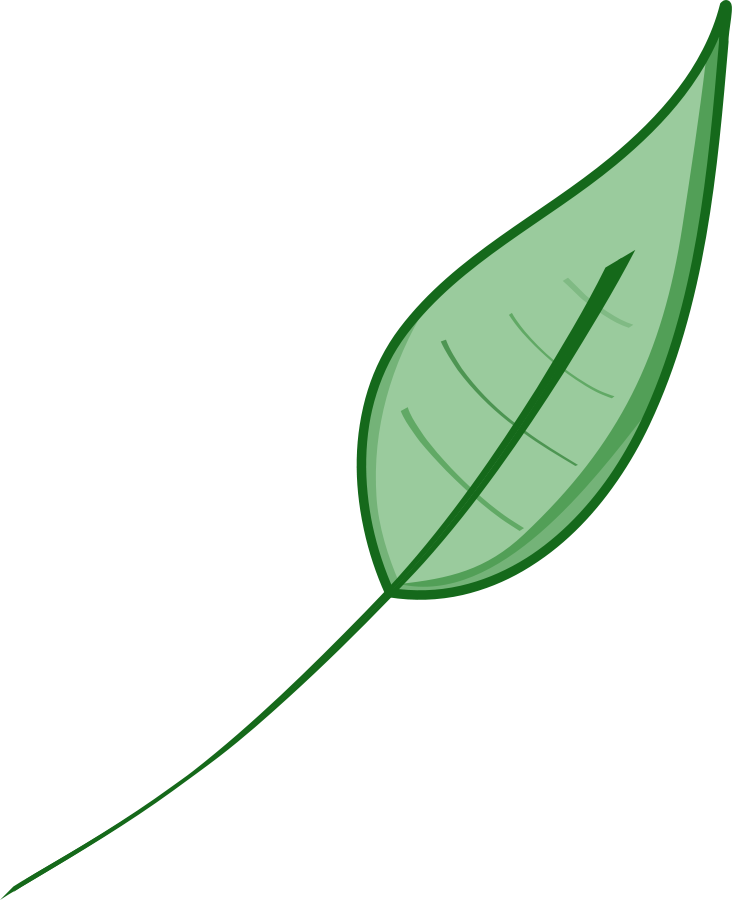 Leaf Green Leaves Dromgdi Top Image Png Clipart