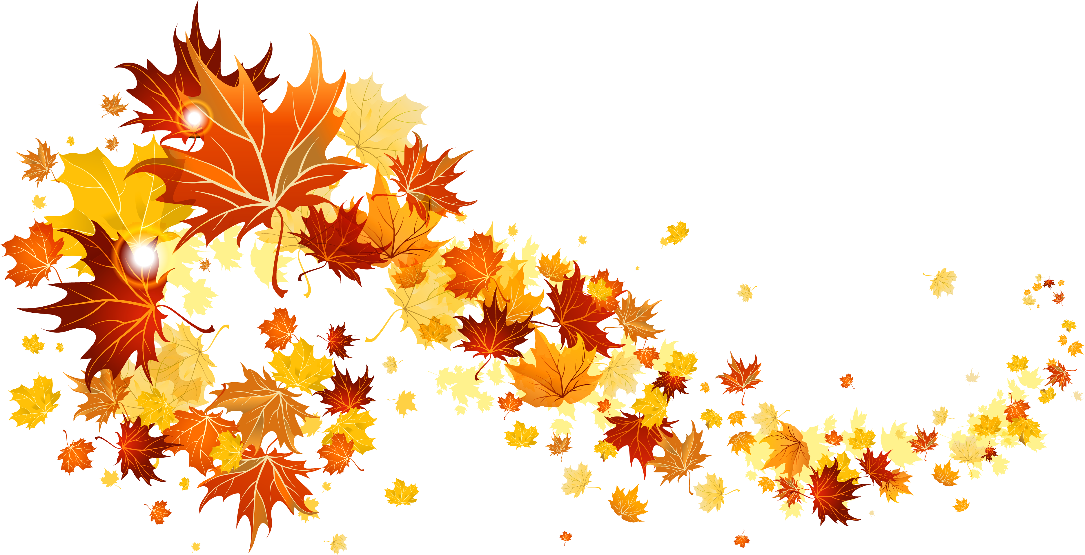 Picture Leaf Color Leaves Autumn Fall Transparent Clipart