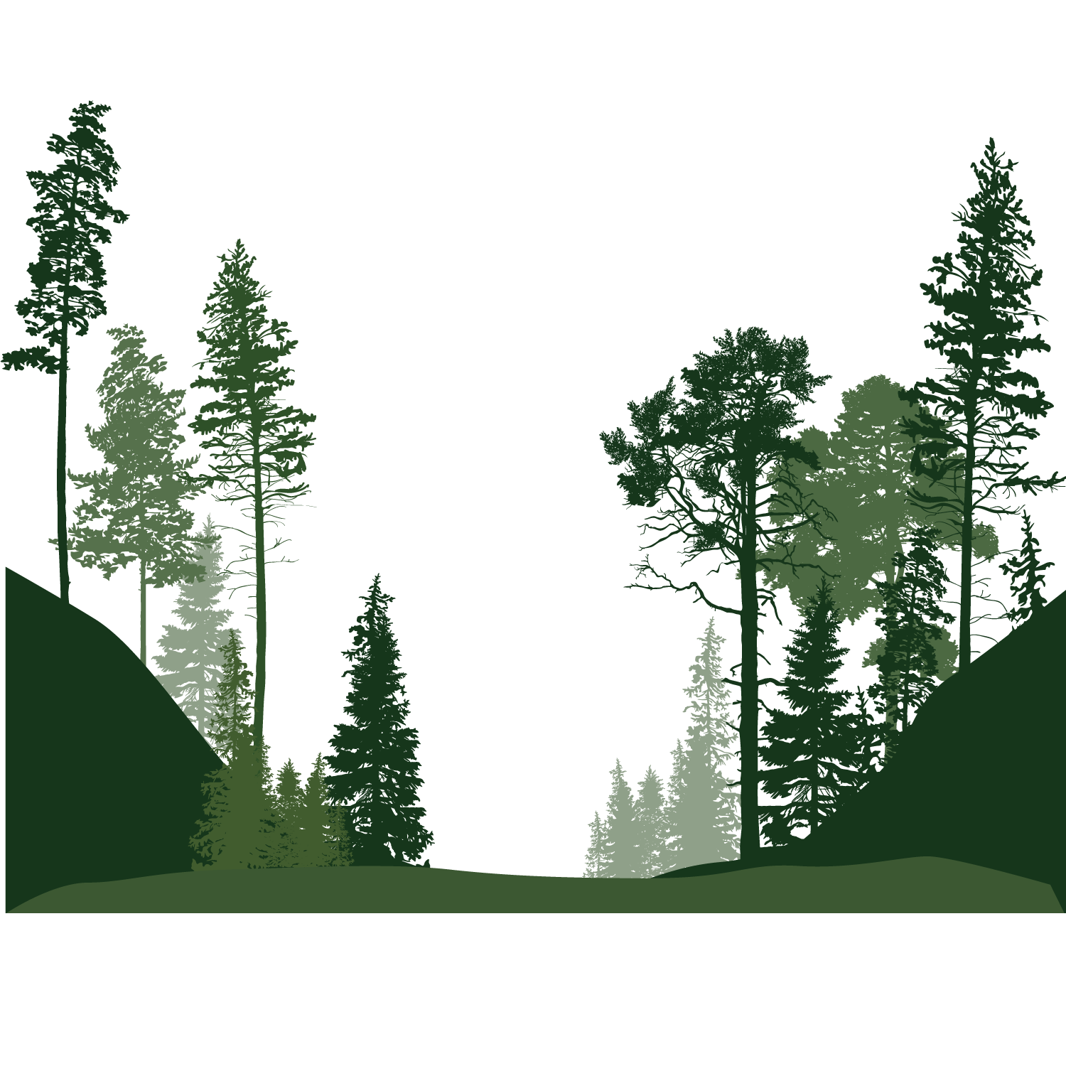 Euclidean Vector Tree Forest Trees HD Image Free PNG Clipart