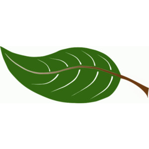 Leaf Animated Leaves Image Free Download Png Clipart