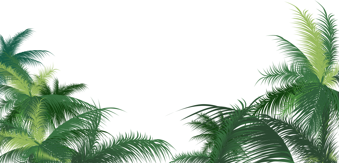 Leaf Areca Leaves Arecaceae Palm Green Clipart