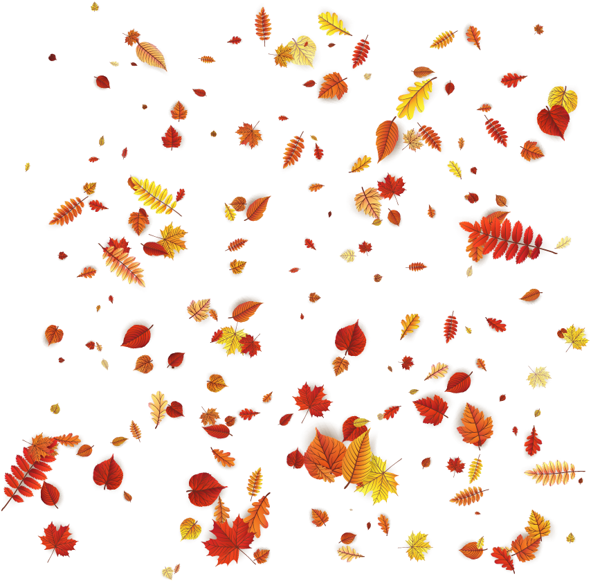 Petal Leaves Autumn Orange Vector Design Pattern Clipart
