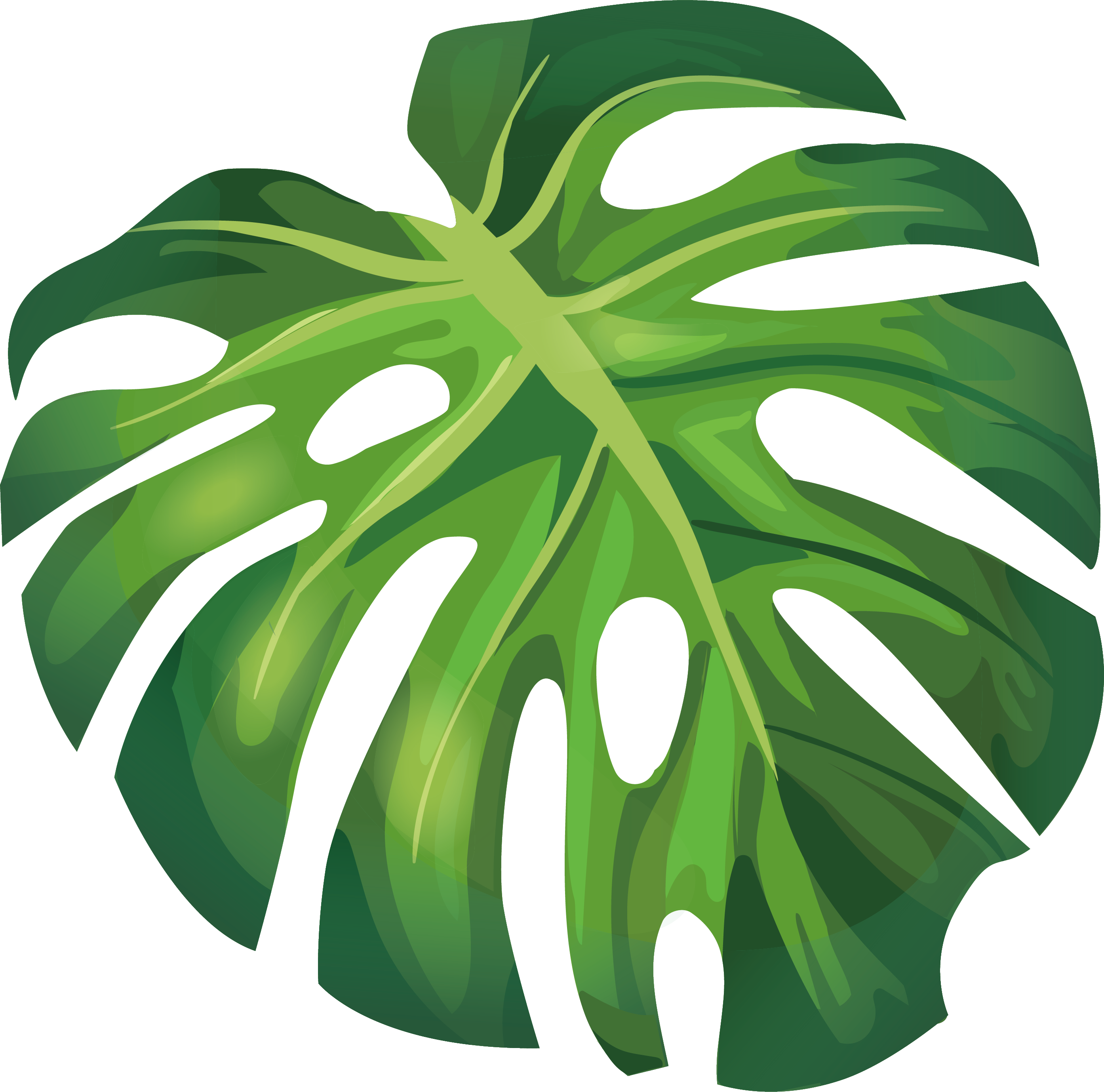 Summer Leaf Euclidean Leaves Illustration Arecaceae Vector Clipart