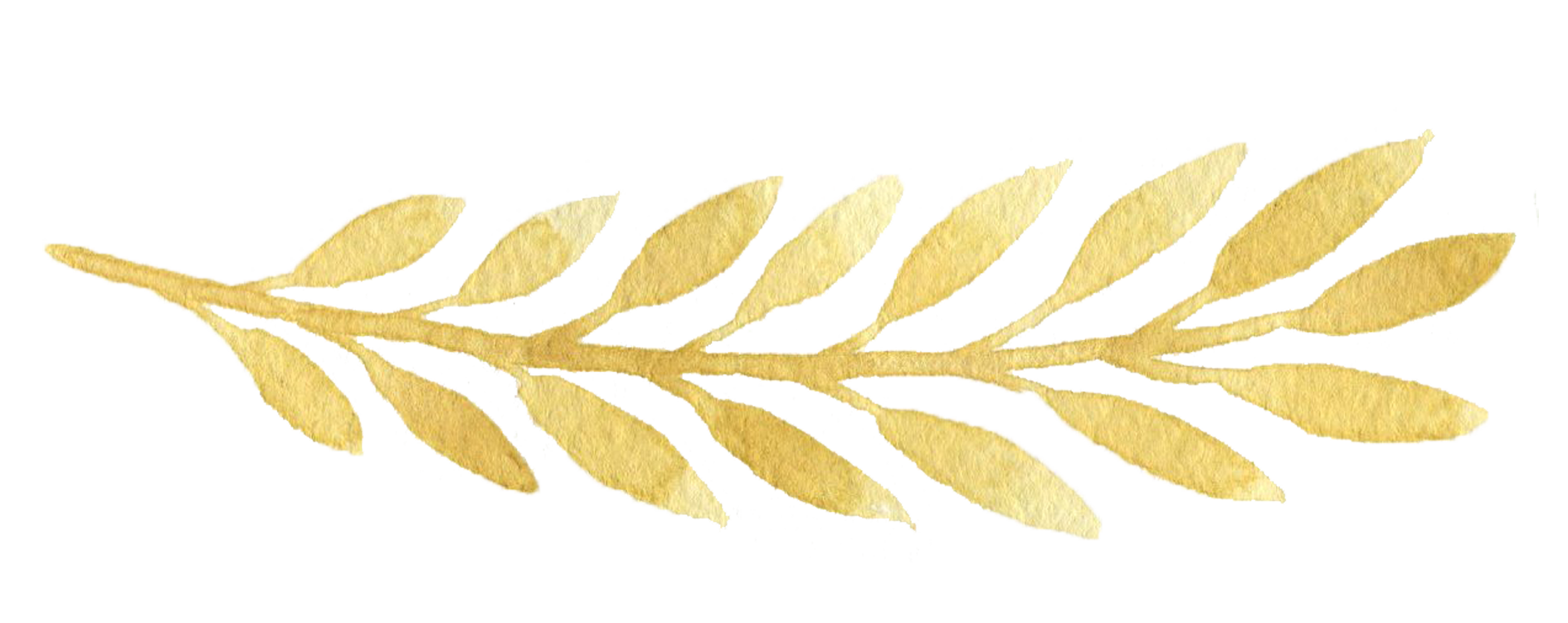 Golden Leaves Leaf Gold PNG Download Free Clipart