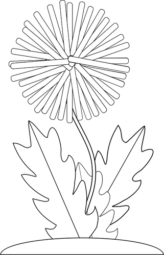 Of Dandelion Flower For Color Book Clipart