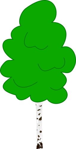Of Young Birch In Color Clipart