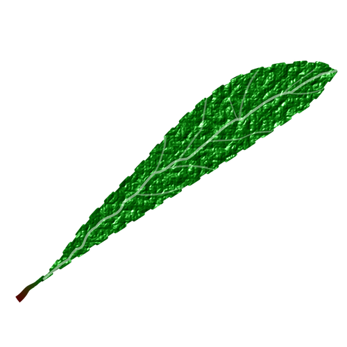 Green Leaf, Textured Clipart