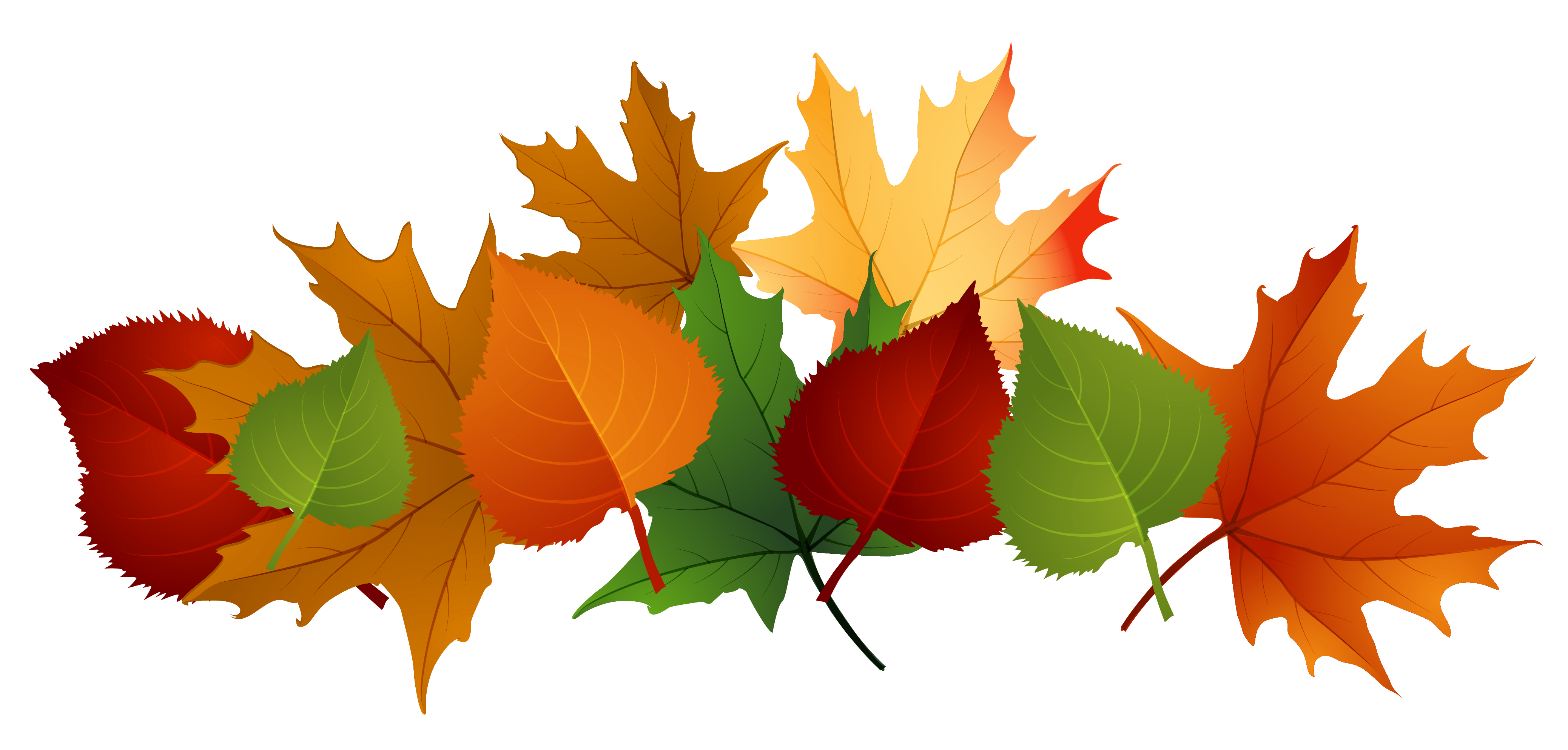 Fall Leaves Fall Leaf No Images Clipart