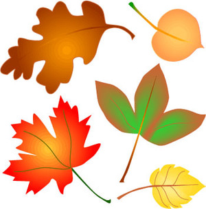 Free Fall Leaves Collections Image Png Clipart