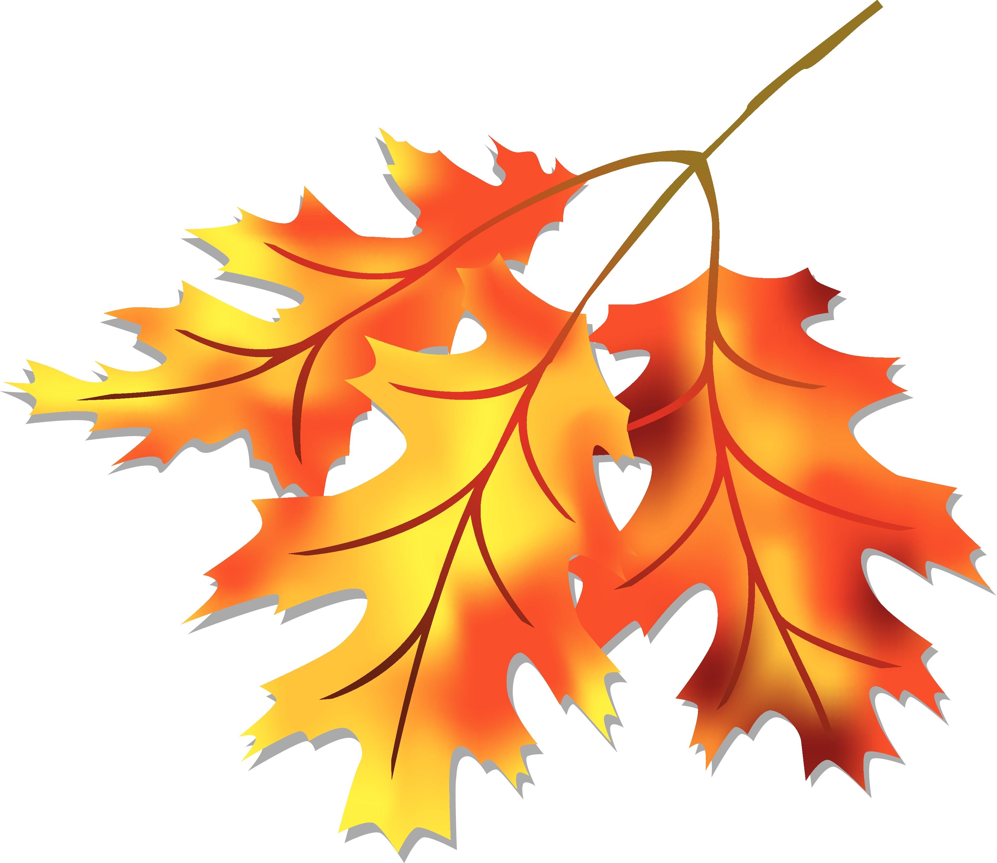 Осенний лист с отверстием для фотошопа