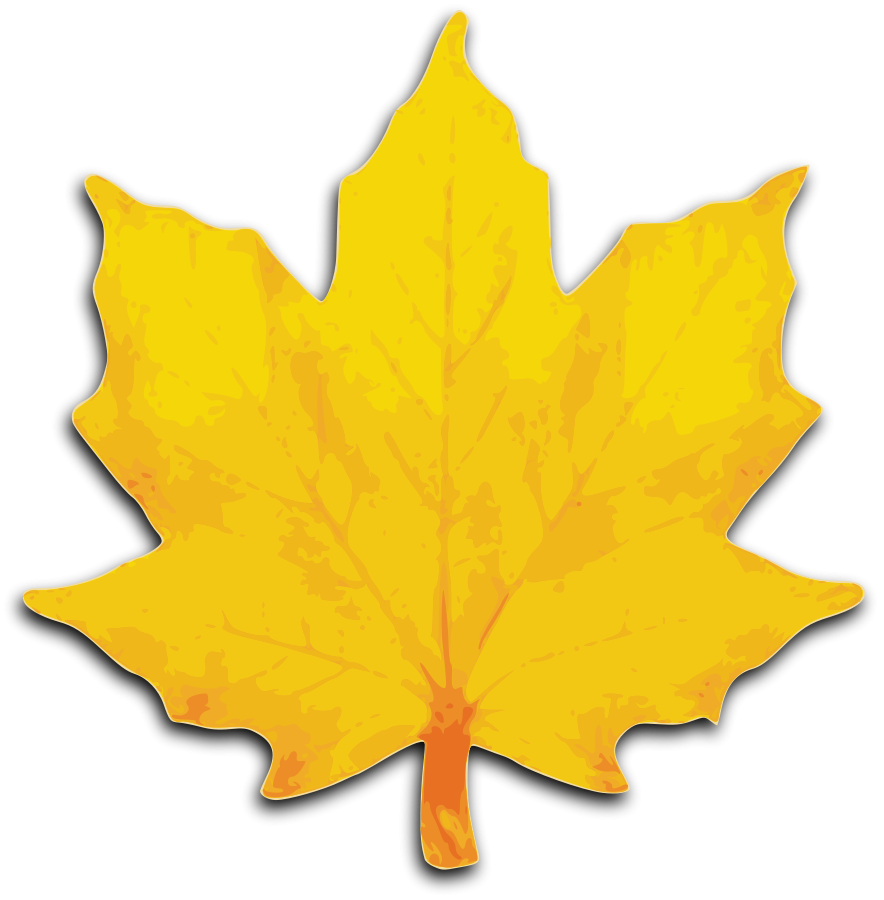 Fall Leaves Images Png Images Clipart