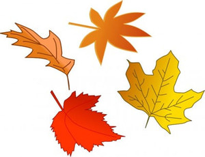 Free Fall Leaves Collections Free Download Clipart