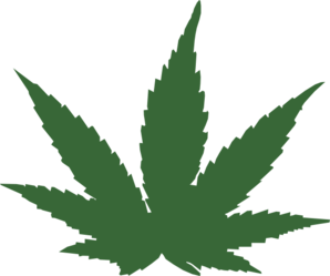 Leaves Marijuana Leaf At Clker Vector Clipart