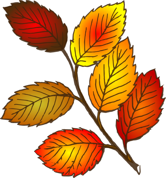 Leaf Leaves Graphics Images And Photos 2 Clipart