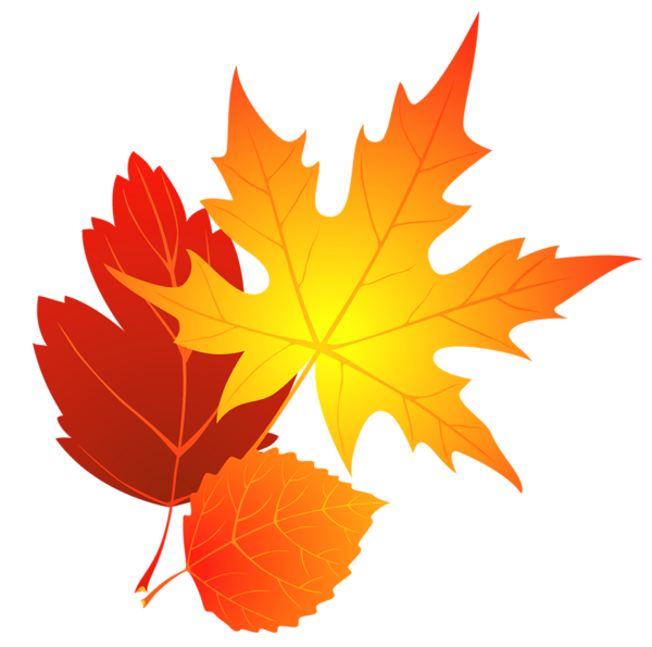Leaves Gallery Recent Updates Image Png Clipart