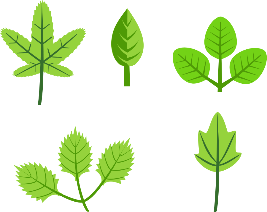 Set Of Leaves Image Png Clipart
