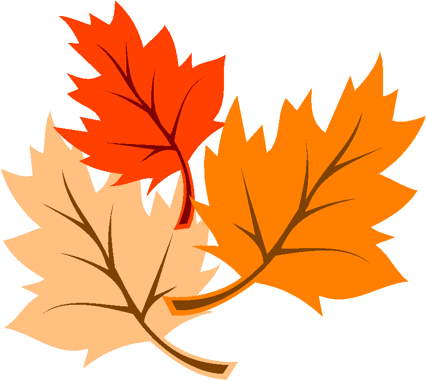 Leaf Fall Leaves Collections Hd Image Clipart