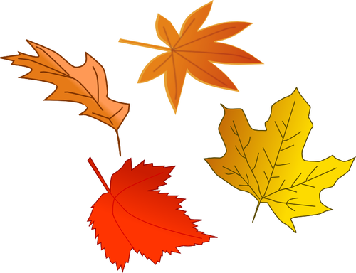 Autumn Leaves Selection Clipart