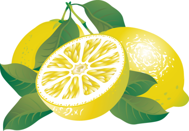 Lemon Citrus Fruit Image Png Clipart