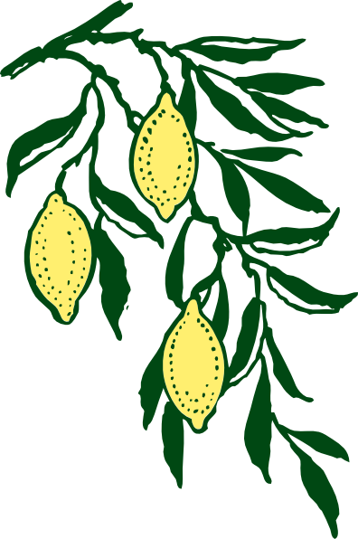 Free Lemons Graphics Images And Photos Image Clipart