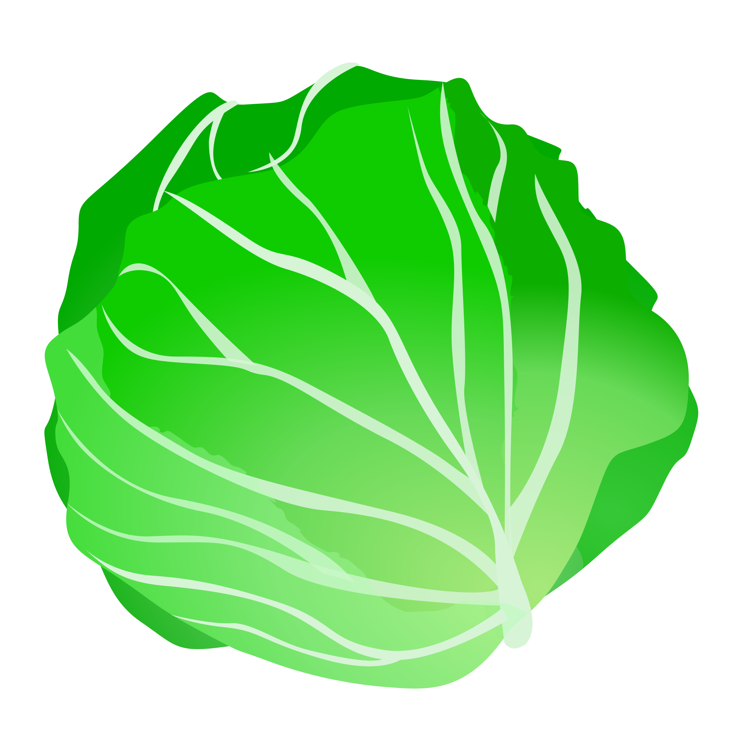 Lettuce Download Png Clipart