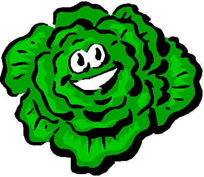 Lettuce Gallery Pictures Image Transparent Image Clipart