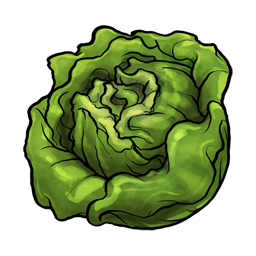 Lettuce Cartoon Free Download Png Clipart