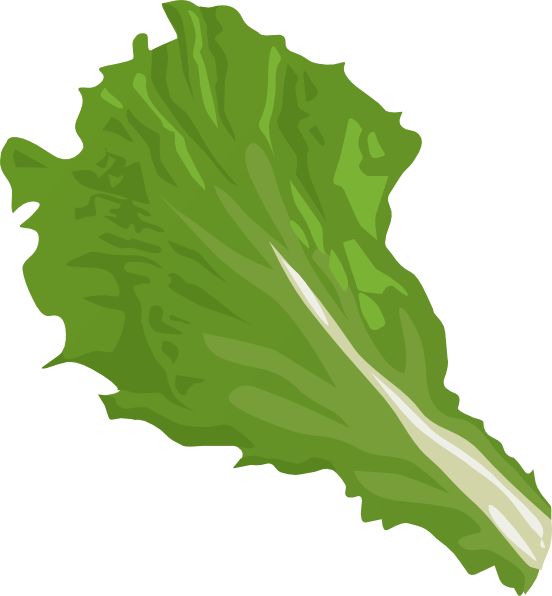 Lettuce Clipart Clipart