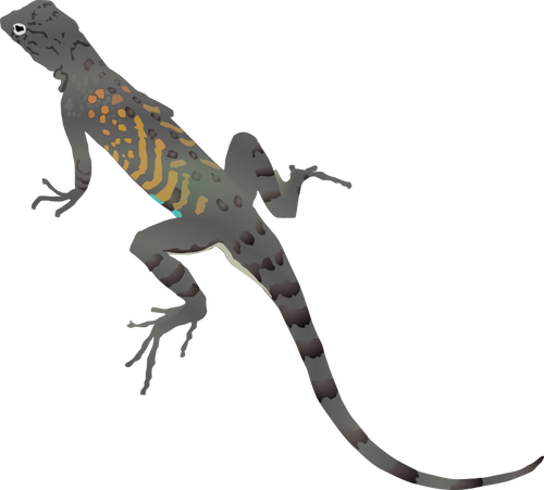 Illustration Of Colorful Lizard Clipart