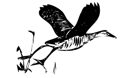 King Rail Bird In Flight Outline Clipart
