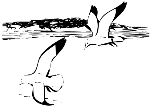 Two Herring Gulls In Flight Clipart