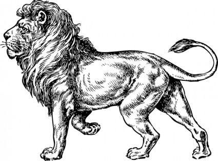 Lion Vector In Open Office Drawing Svg Clipart