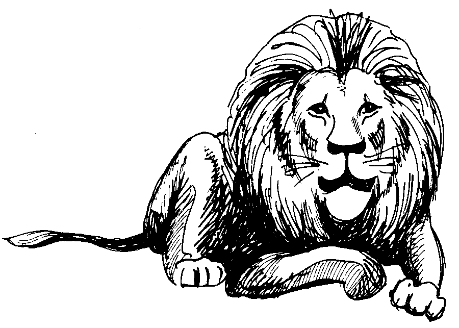 Line Art Lion Animals Downloadclipart Org Clipart