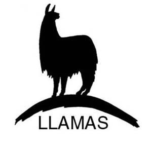 Llama Cartoon Images 3 Image Hd Photo Clipart