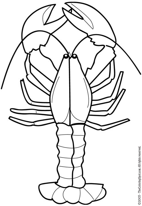 Lobster Png Image Clipart