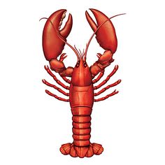 Ideas About Lobster Tattoo On Crab Tattoo Clipart