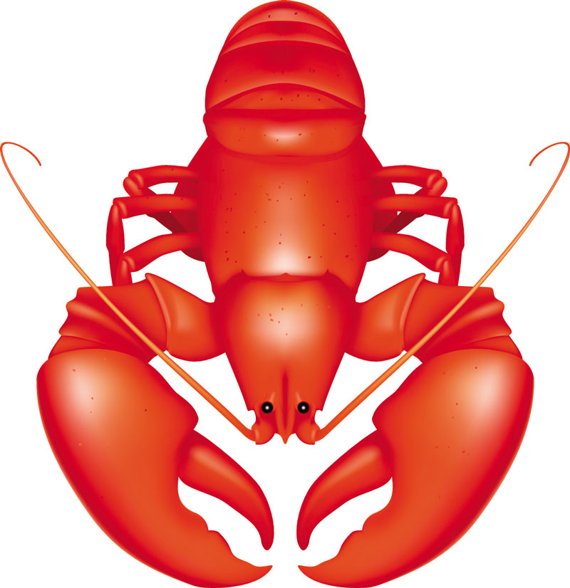 Lobster Png Image Clipart