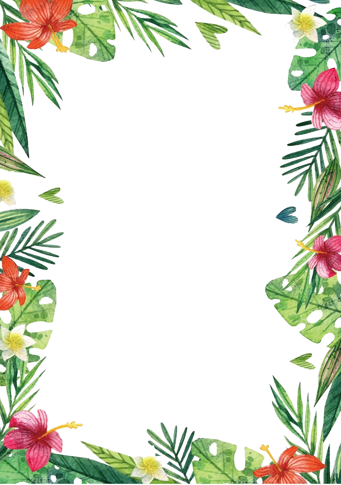 And Plants Flowers Flower Hawaii Free Photo PNG Clipart