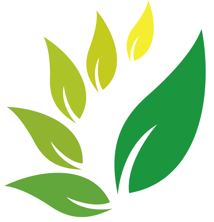 Jamu Herb Indian Jujube Herbal Logo Clipart