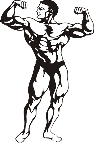 Muscular Man Clipart