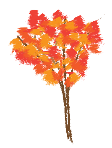 Maple Tree In Autumn Clipart
