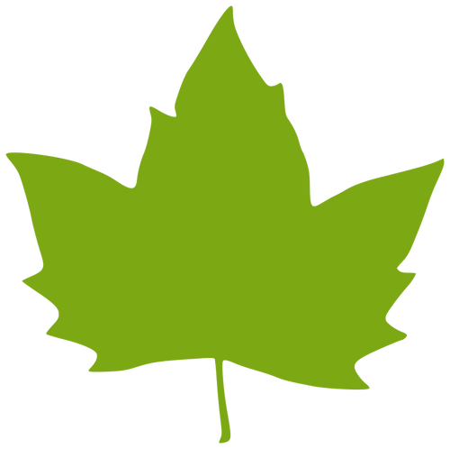 Of A Maple Leaf Clipart