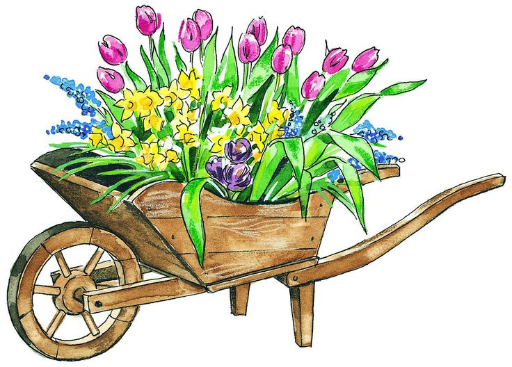 May Flowers 1 Kaufman County Rean Women Clipart