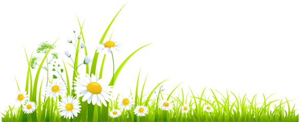 May April Flowers April Spring Image Png Clipart