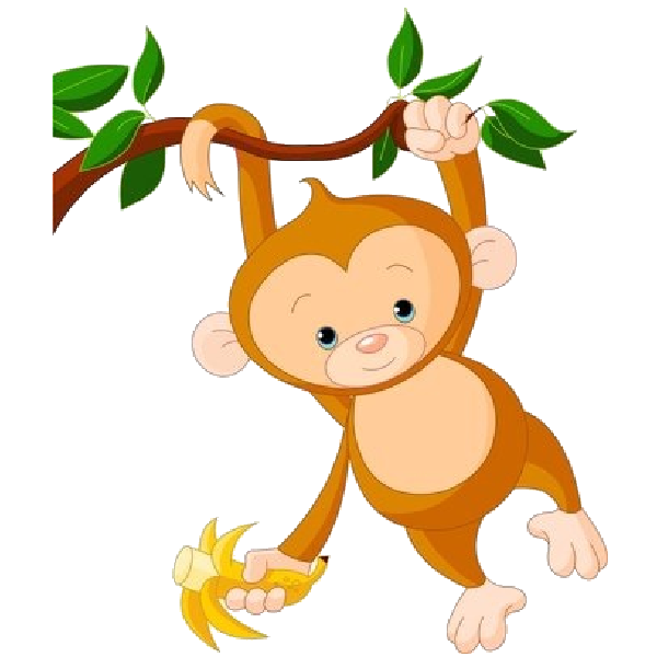 Monkey Images Hd Photo Clipart